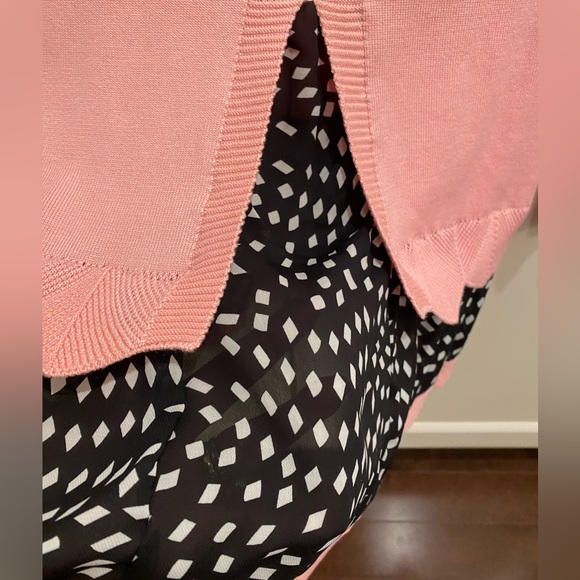 NWT KOREAN PINK SWEATER WITH GAUZY ALONG THE BOTTOM AND THIS AREA OPENS TO BACK - Picture 2 of 6